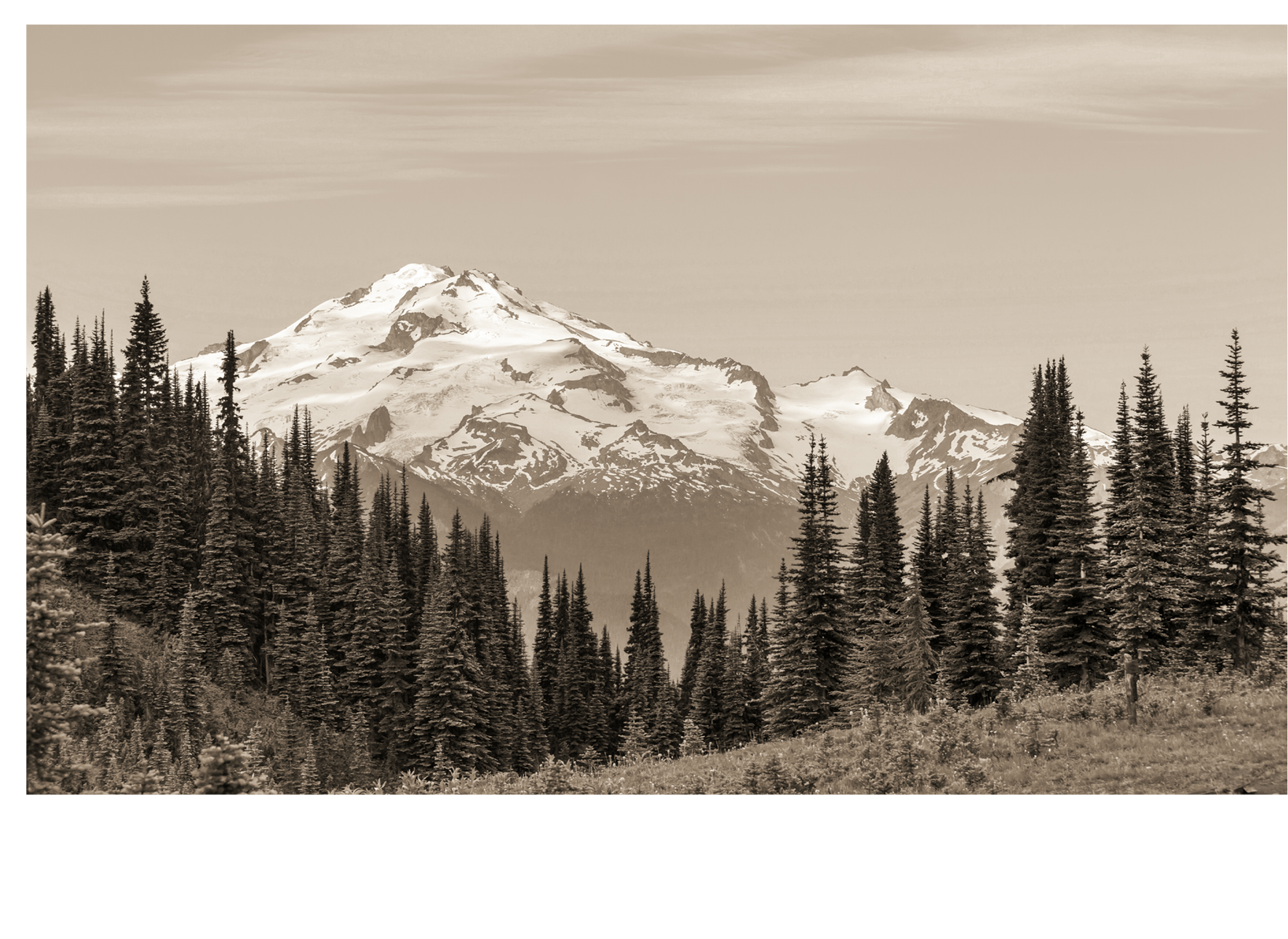 Mount Rainier national park  Washington